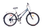 Xe đạp thể thao Asama AMT 32 (màu xám)
