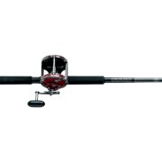 Penn Senator Conventional Boat Combo (6-Feet 6-Inch, 40 Yard /60 Pound 114H/S114 1151524)