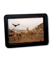 Bluegape Siddharth Setia Sheep Photography Table Clock