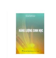 Năng lượng sinh học 