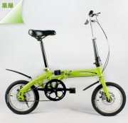 Xe đạp gập trẻ em Royal Baby X1 mvb_802_455_0614
