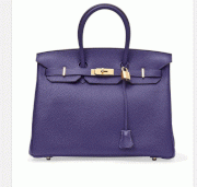 Hermes Birkin in Iris Leather