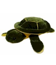 Darshan Green Tortoise 40 Cm