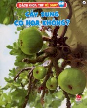  Cây Sung Có Hoa Không