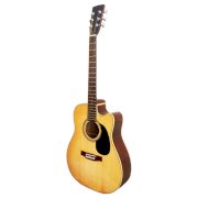 Guitar Classical HDJ200