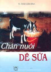 Chăn nuôi dê sữa