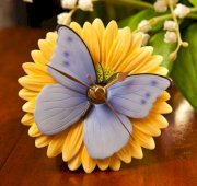 Blue Butterfly on Gerber Daisy Clock - Hand Painted Flower Clock By Ibis & Orchid Designs