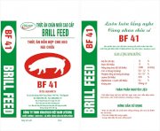 BF 41 - Thức ăn hỗn hợp cho heo nái chửa