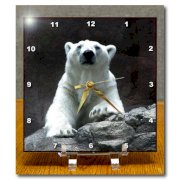 3dRose dc_12207_1 Desk Clock, Polar Bear Resting, 6 by 6-Inch