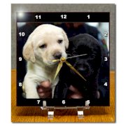 3drose Black and Yellow Lab Puppies Desk Clock, 6 by 6-Inch