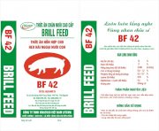 BF 42 - Thức ăn hỗn hợp cho heo nái nuôi con