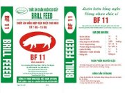 BF 11 Thức ăn đặc biệt cho heo từ 7 - 15kg