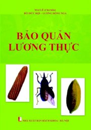 Bảo quản lương thực