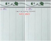 Gạch ốp tường 250x400 KAG2603