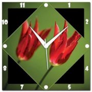 WebPlaza Red Tulips Analog Wall Clock (Multicolor) 