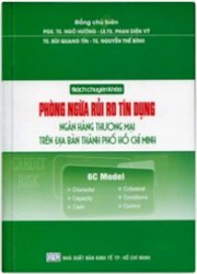 Phòng Ngừa Rủi Ro Tín Dụng Ngân Hàng Thương Mại Trên Địa Bàn Thành Phố Hồ Chí Minh