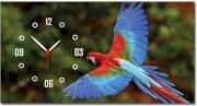 Amore Trendy 117942 Analog Clock (Multicolor)