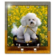 3dRose LLC Bichon Frise 6 by 6-Inch Desk Clock