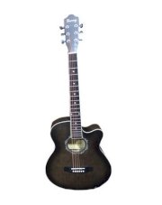 Đàn Guitar Acoustic Sunny 3940-MAS
