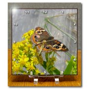3dRose dc_27257_1 Butterfly Moth Flowers Yellow Orange Purple-Desk Clock, 6 by 6-Inch