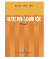 Phương trình đạo hàm riêng phần 1