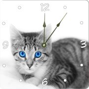 Rikki KnightTM Grey Kitten with Bright Blue Eyes Design 6" Art Desk Clock