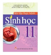 Bài tập thực hành sinh học 11