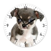 Đồng hồ treo tường Clockadoodledoo Puppy Chihuahua