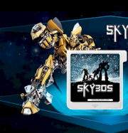 Card save Sky 3DS