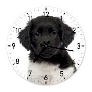 Đồng hồ treo tường Clockadoodledoo Stabyhoun Puppy