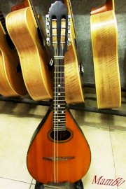 Mandolin V-E(2 Bọc)