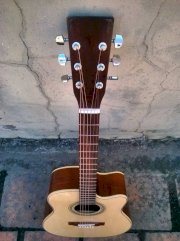 Guitar Hồng Đào Trung