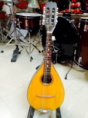 Đàn Mandolin MDL02