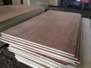 Ván ép pallet Nhật Anh 1220 x 2440 x 13mm BC, CC