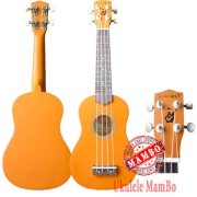 Đàn Ukulele I-pro Evolution UK-21