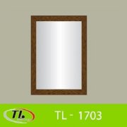 Gương 4 số 1 lớp Tùng Lâm TL-1703