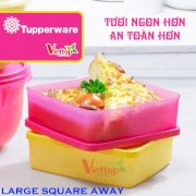 Hộp bảo quản thực phẩm Large square away - Bộ 2 hộp Mã sản phẩm: 11104833