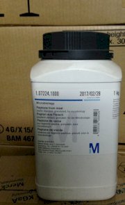 Peptone from meat peptic - 1072241000