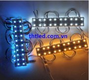 Đèn led module 3 bóng Tam Hợp Thịnh THT-3528 (Vàng)