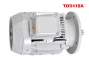 Động cơ điện mặt bích Toshiba IK 160L 380V