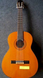 Guitar Classic Ecole El 500