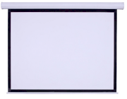 Màn chiếu treo tường DALITE 170 inch (3.05 x 3.05m)
