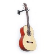 Đàn guitar classic CT-25D