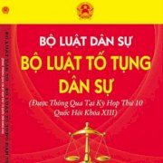 Bộ Luật Dân Sự  2016 - Luật Tố Tụng Dân Sự  Được Quốc Hội Thông Qua Kỳ Họp Thứ 10 Quốc Hội Khóa Xiii