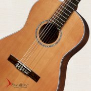 Đàn Classic Guitar Swallow CW01A