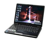 Toshiba Satellite U400  (Intel Core 2 Duo T9550 1.83GHz, 2GB RAM, 160GB HDD, VGA Intel HD, 13.3 inch, Windows 7 Professional)