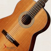 Đàn Classic Guitar Swallow C300A