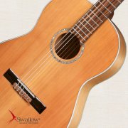 Đàn Classic Guitar Swallow CFC01