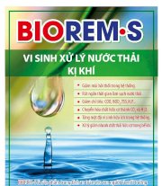 Vi sinh xử lý nước thải kị khí BIOREM.S