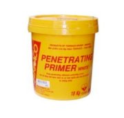 Sơn lót chống kiềm Terraco Penetrating Primer 68110(Trắng Trong) 4kg